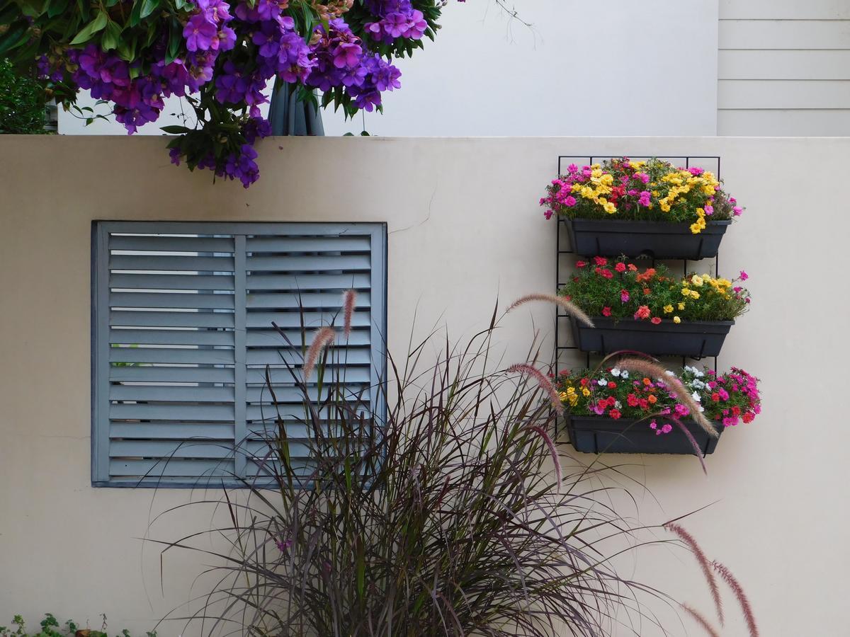Beachport Bed & Breakfast Port Macquarie Exterior photo